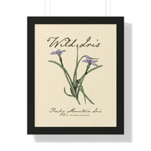 Load image into Gallery viewer, Rocky Mountain Iris - Framed Vertical Poster