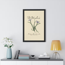 Load image into Gallery viewer, Rocky Mountain Iris - Framed Vertical Poster