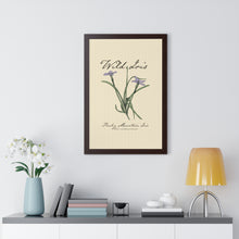 Load image into Gallery viewer, Rocky Mountain Iris - Framed Vertical Poster