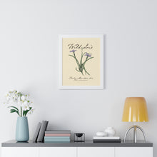 Load image into Gallery viewer, Rocky Mountain Iris - Framed Vertical Poster