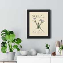 Load image into Gallery viewer, Rocky Mountain Iris - Framed Vertical Poster
