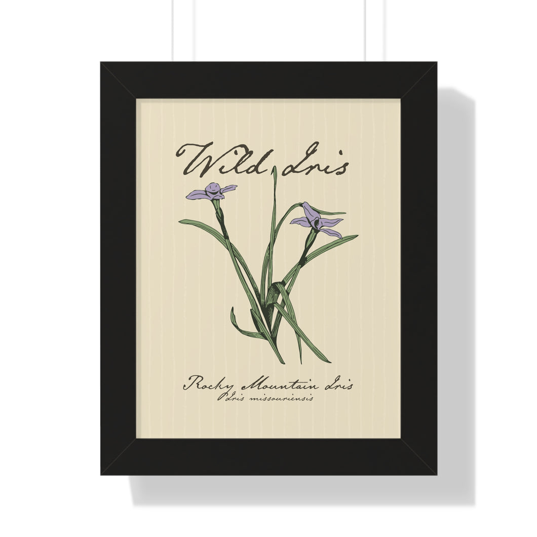 Rocky Mountain Iris - Framed Vertical Poster