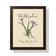 Load image into Gallery viewer, Rocky Mountain Iris - Framed Vertical Poster
