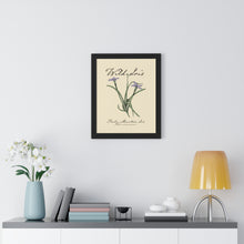 Load image into Gallery viewer, Rocky Mountain Iris - Framed Vertical Poster
